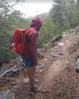 Caution due to Salamander