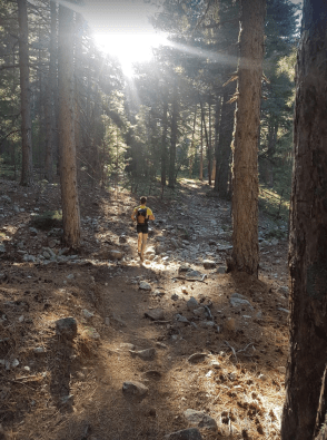 Woodland Trail after Petra Piano